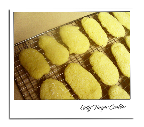 Ladyfingers